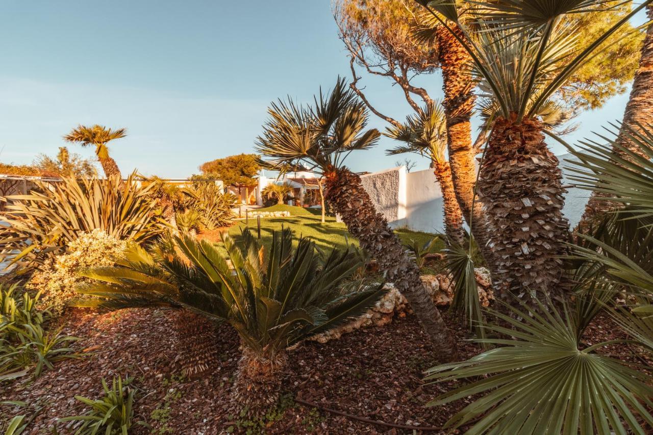 Echi Di Puglia Marsento Acomodação com café da manhã Polignano a Mare Exterior foto